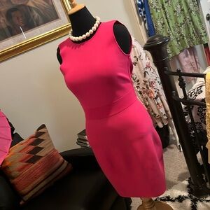 A beautiful fuchsia knit dress by Ted Baker London.